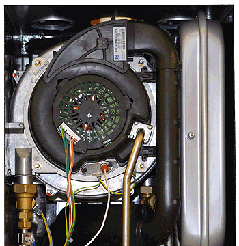 fr modena 32c.top section.gif